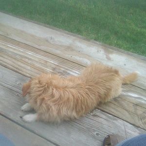 Meet your Posher, Patricia